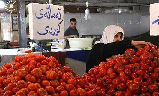 KÜRDİSTAN - İhracat yasağı domatesi vurdu