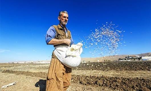 Tirkiye rê nade tovê genim bo Kurdistanê were hinardekirin