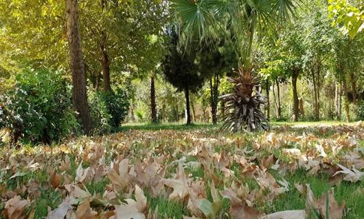FOTO – Sami Abdurrahman Parkı’nda sonbahar