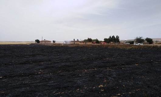 URFA - 40 dönüm tarla, okul ve iki ev yandı