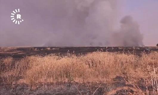 Li Rojvayê Kurdistanê heta niha 70 hezar donim zevî şewitî ne