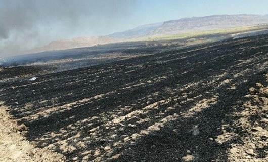 Ji Başûrê Kurdistanê agir derbasî aliyê Rojhilat bû; 270 hektar zevî şewitîn