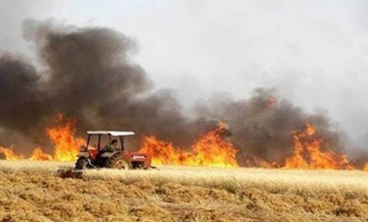 IRAK – Son bir ayda 46 bin dönüm ekili arazi kül oldu