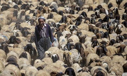 Fotoğraflarla Feraşin Yaylası’nda göçerlik