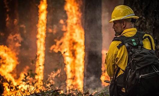Amazon ormanlarında bu yıl 72 binden fazla yangın çıktı