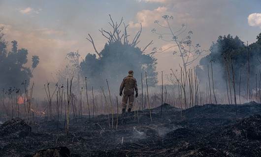 Rûdaw yangının kül ettiği Amazon ormanlarında