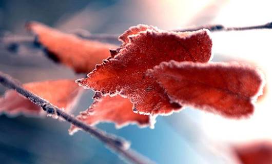 Kars ve Ardahan’da sıcaklık eksi 9 dereceyi gördü