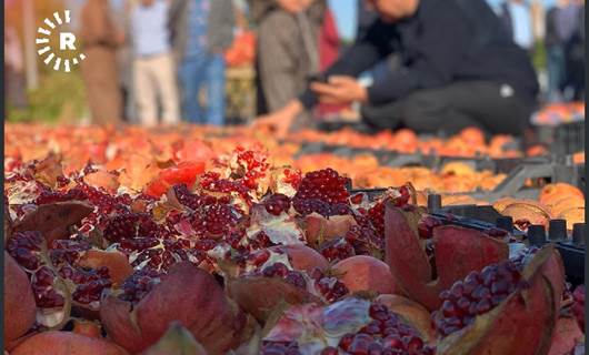 FOTO- Başkentte Kürt çiftçiler ürünlerini görücüye çıkardı
