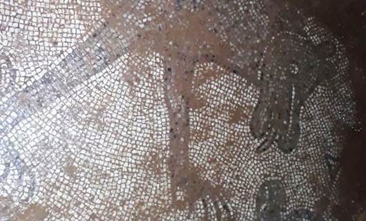 Urfa’da Roma dönemine ait mozaikler bulundu