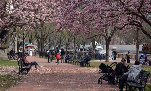 Washington spring dampened by pandemic fears
