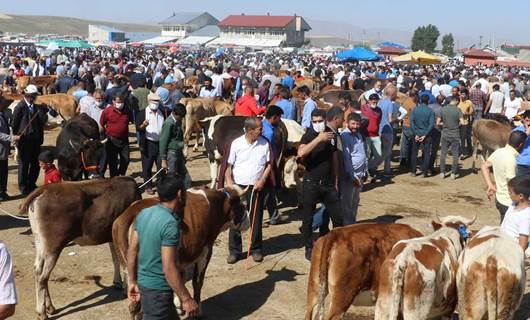FOTO – Erzurum, Kars, Ardahan ve Ağrı'da hayvan pazarları