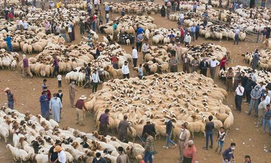 FOTO - Kurban Bayramı öncesi Erbil Hayvan Pazarı