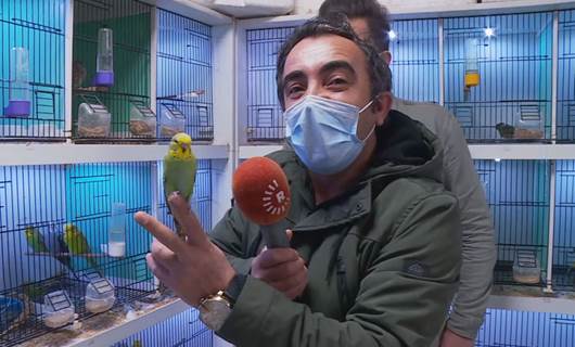 TATVAN – Pet shop’taki kuşlar dengbêjlerle moral buluyor