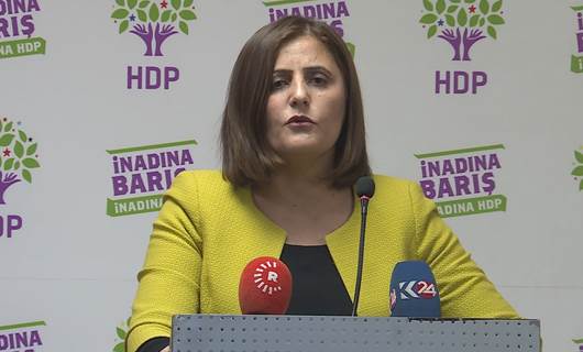 Parlamentera HDPê Taşdemir: Ez neçûme Gare, armanc reşkirin e