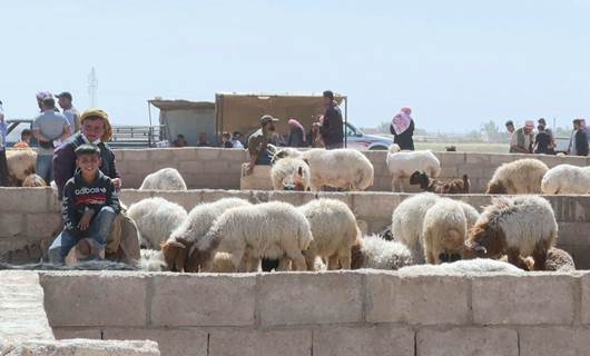 Li Rojava ji ber nebûna êm, pez bi erzanî tê firotin