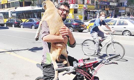 DİYARBAKIR - Yaralı köpeği taksiler almayınca bisiklet kiraladı