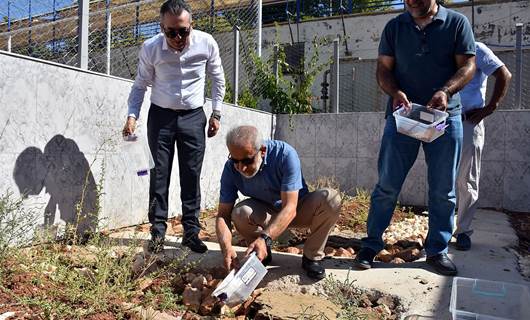 Bilimsel araştırmalarda kullanılan akrepler için özel bahçe yapıldı