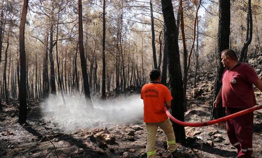 Antalya, Muğla, Mersin, Adana ve Osmaniye afet bölgesi ilan edildi