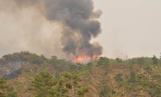 Türkiye'de orman yangınları: 14 bölgede yangın devam ediyor