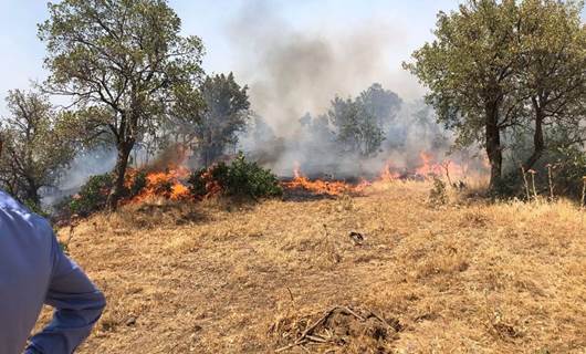 'Şemdinli'de orman yangınları kasten çıkarılıyor'
