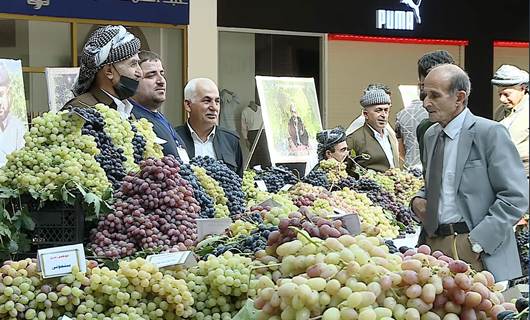 Duhok grape growers struggle to market their fruit