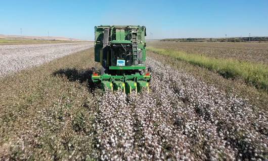 Cotton farmers in Turkey’s Diyarbakir decry skyrocketing costs