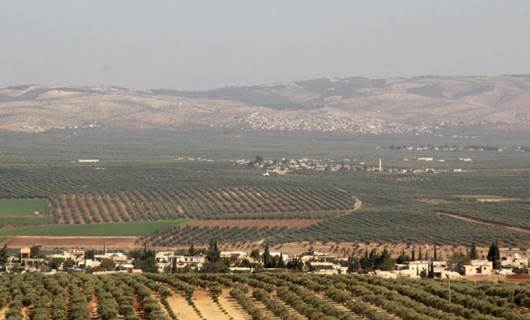 Efrin'de silahlı kişiler bir Kürdün zeytin hasadına el koydu