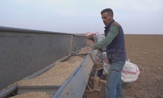 ABD’nin Rojava’ya hibe ettiği tohumda hastalık çıktı