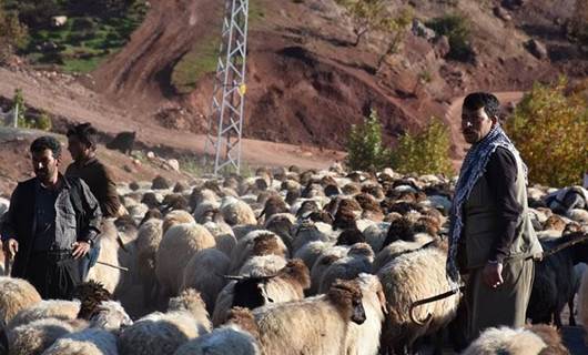 Faraşin’den dönen göçerlerin zorlu kış yaşamı başladı