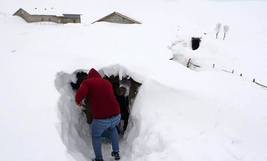 MUŞ: Köy kara gömüldü, ulaşım için tüneller kullanılıyor