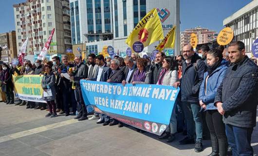 ‘Anadilde eğitim en temel haktır, bu hakkı engellemek insan hakları ihlalidir’