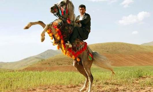 İran: Her yıl 600 ila 700 Kürt atı ülkeden kaçırılıyor