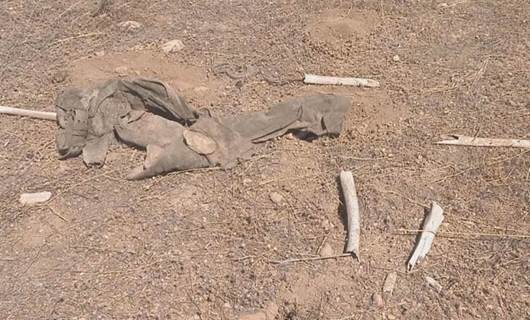 Şengal’de yeni toplu mezar bulundu