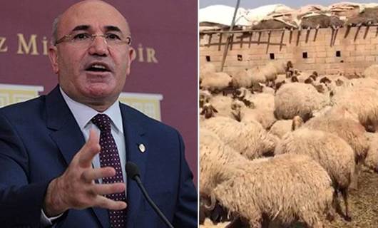 'Urfa’da 17 koyun askerler tarafından gözaltına alındı'
