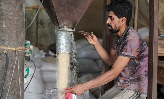 رووبەرى چاندنى برنج لە عێراق لە 400 هەزارەوە بۆ 11 هەزار دۆنم کەمدەکرێتەوە