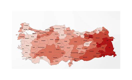 En fazla genç nüfusa sahip iller Hakkari, Şırnak ve Siirt