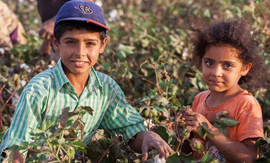 CHP’den ‘çocuk işçi’ raporu: 571 çocuk çalışırken hayatını kaybetti