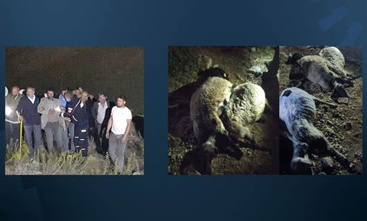 Van’da yıldırım düştü: 3 kişi yaralandı, 63 koyun telef oldu