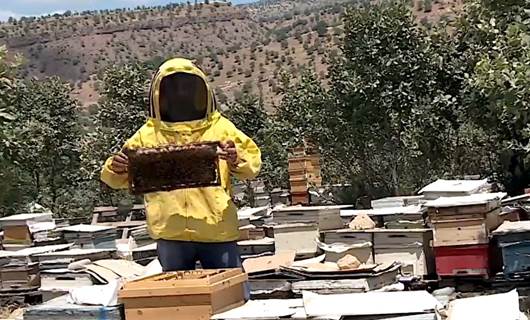 Bombebaranên Tirkiyê ziyaneke mezin daye mêşvanên Amêdiyê