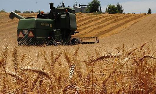 BM Gıda ve Tarım Örgütü: Türkiye en çok buğday ithal eden üçüncü ülke