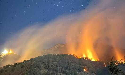 DERSİM- Ovacık'ta orman yangını