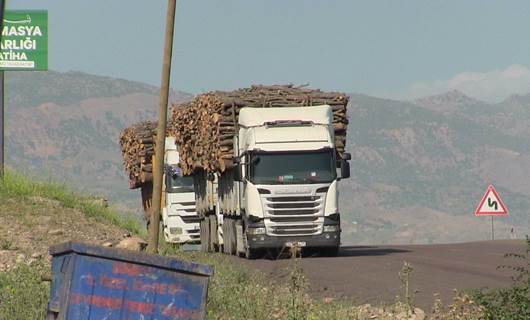 Li Şirnexê berî meşa dijî birîna daran qedexeya çalakiyan hat ragihandin