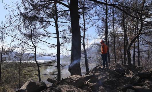 Marmaris’teki orman yangını kontrol altına alındı