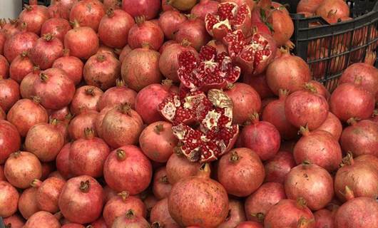 Thousands flocked to Halabja’s pomegranate festival