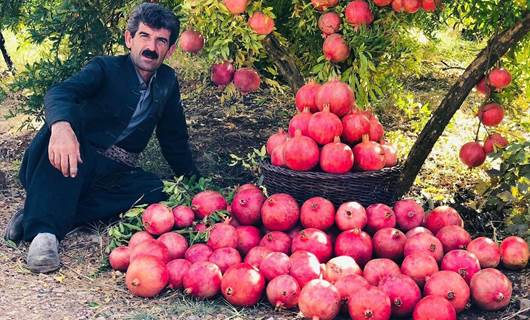 ئازاد هەڵەبجەیی: لە هەولێر نەیانهێشت فێستیڤاڵی هەنار بەڕێوەببەم و دەیبەمە سلێمانی