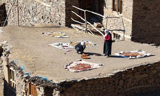 FOTOĞRAFLARLA - Van Gevaş'ta taş evlerde kış hazırlığı