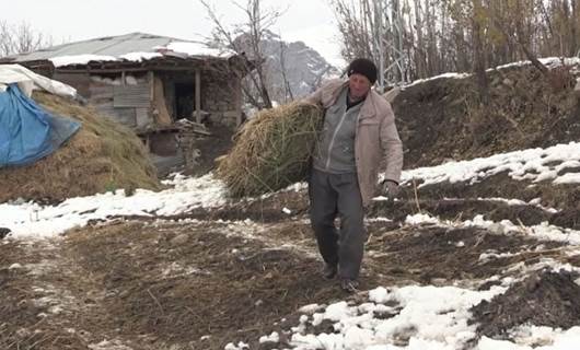 Hakkari’de besicilerin kış şartlarıyla mücadelesi başladı