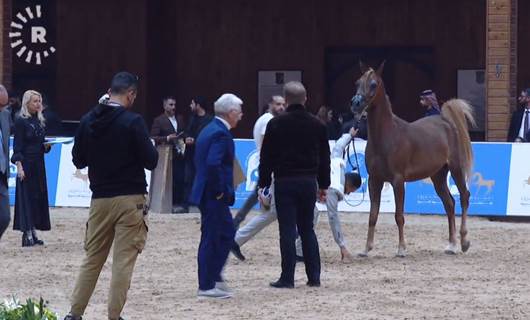Erbil’de 750 bin dolar ödüllü 'Arap Atları Güzellik Yarışması' düzenlendi