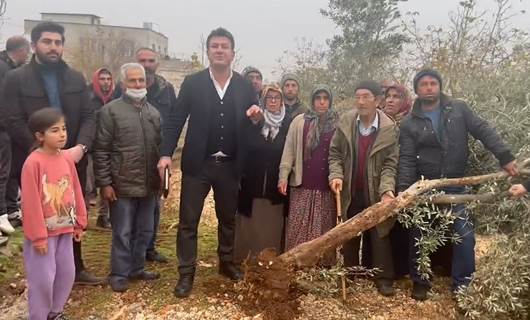 Halfeti Belediyesi’nden yıkım: Zeytin ağaçları söküldü