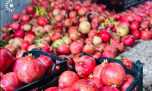 Kürdistan, nardan sonra gelecek yıl üzüm, elma ve bal ihraç edecek